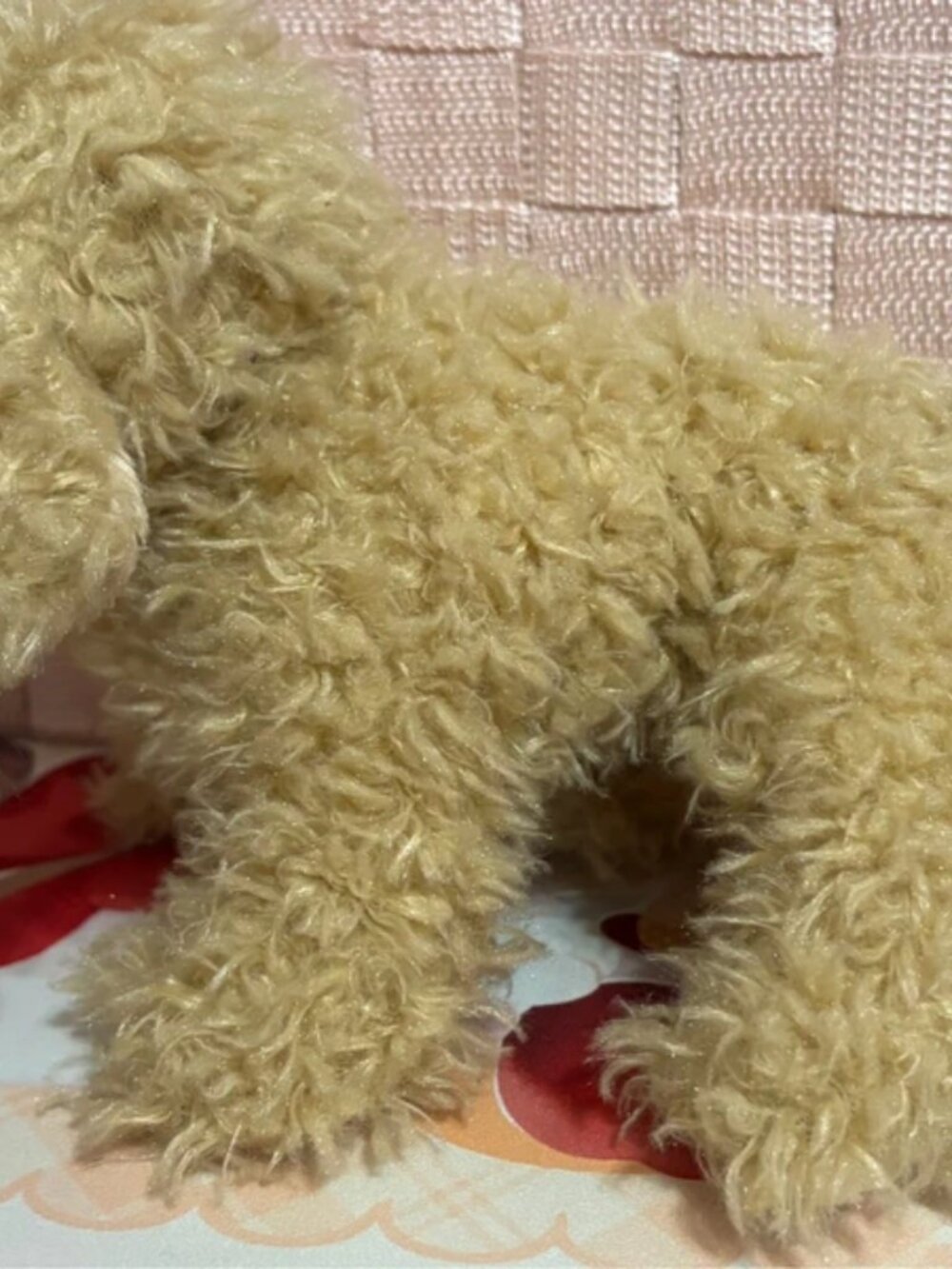 Webkinz Labradoodle plush - Picture 5 of 5